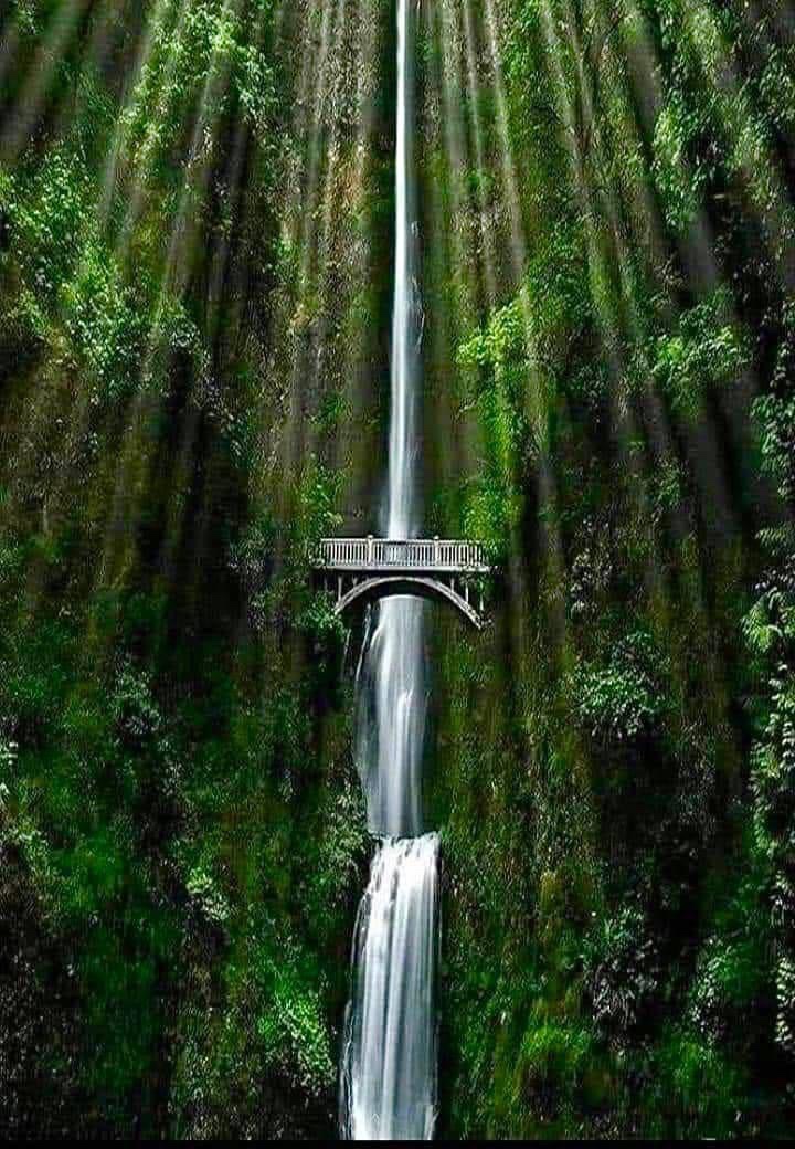 Chasing Waterfalls – Who Doesn’t Love That?