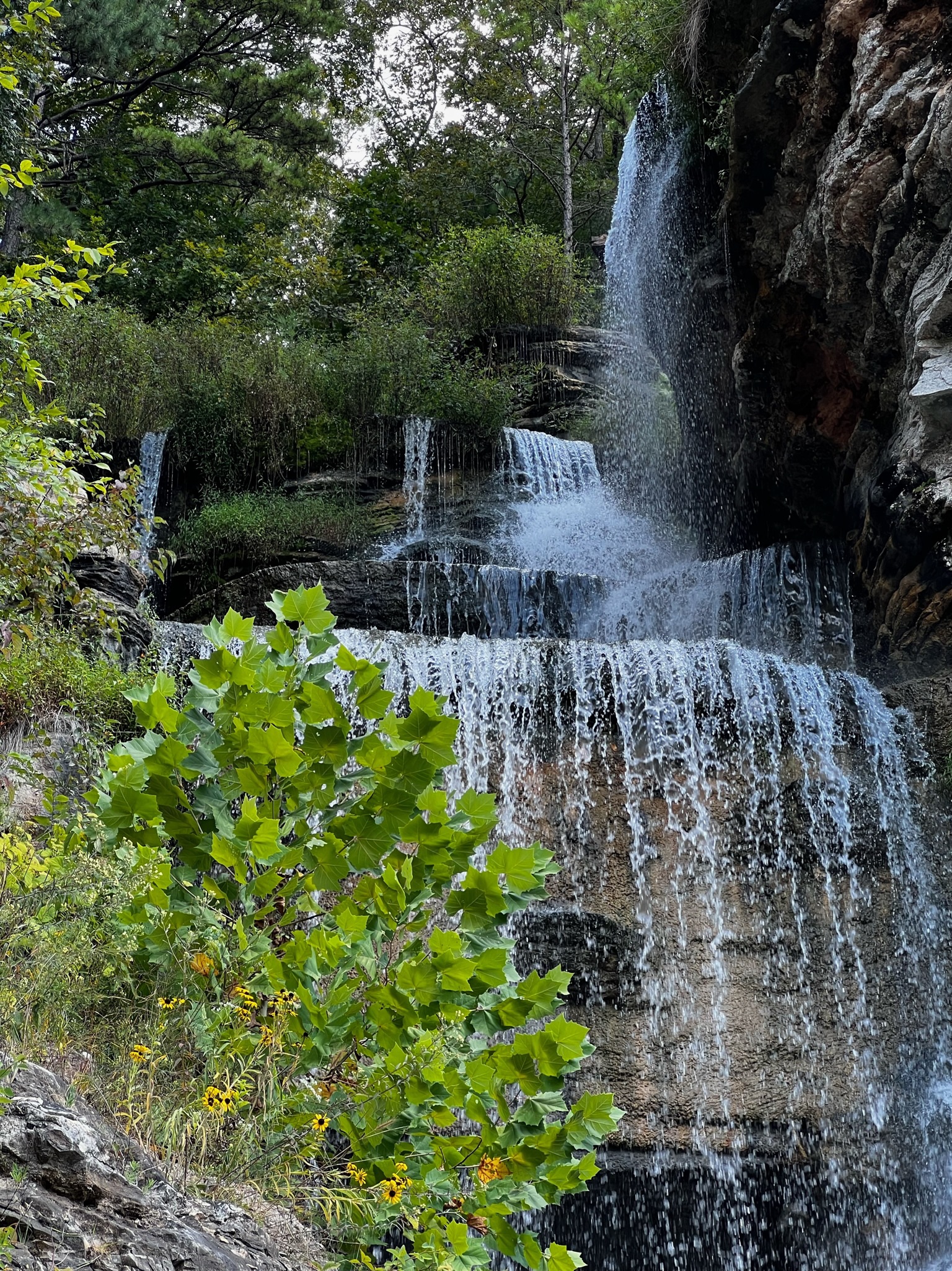 Chasing Waterfalls – How About Dogwood Canyon?